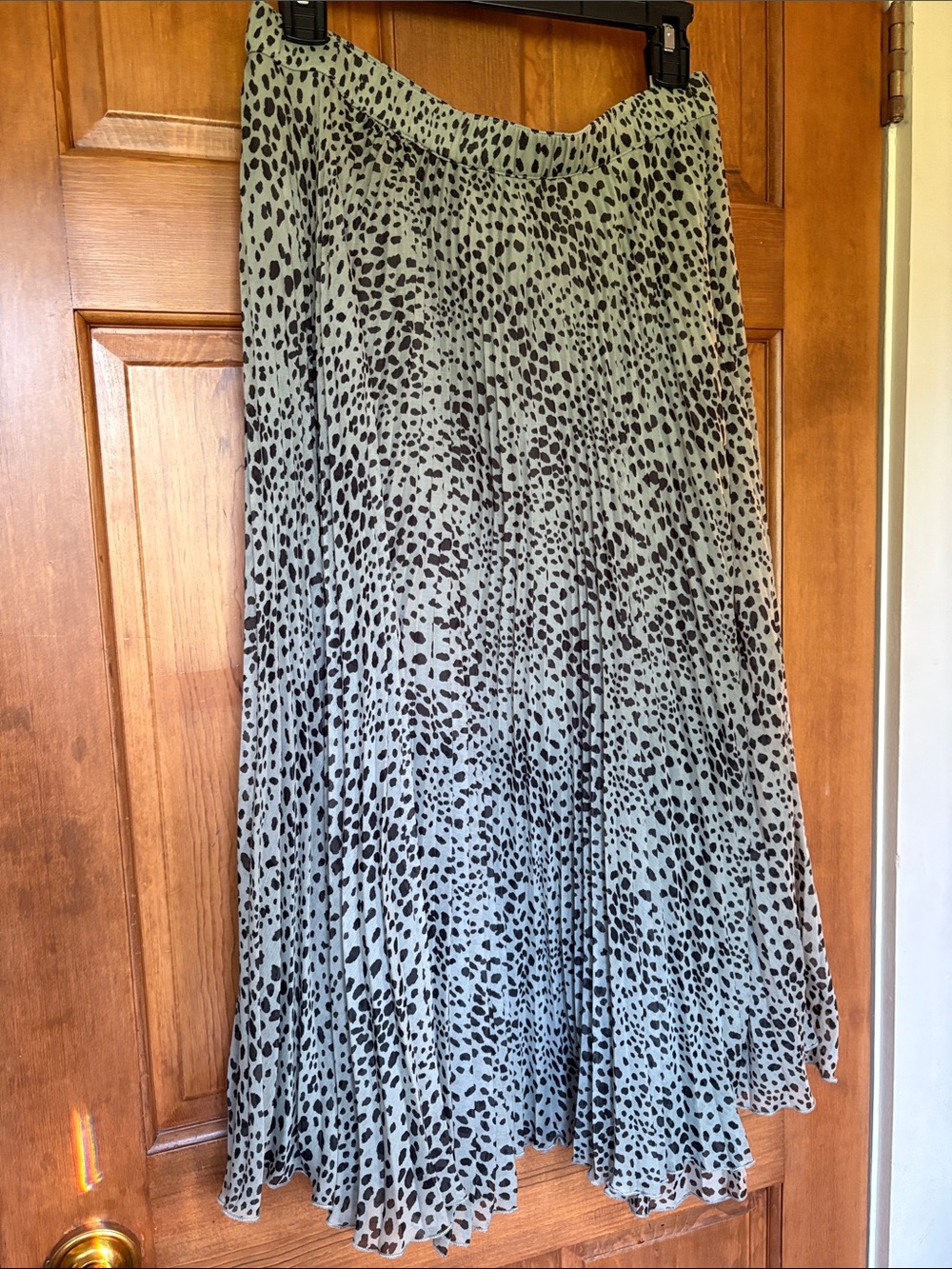 Abercrombie & Fitch Mint Green and Black Pleated Maxi Skirt